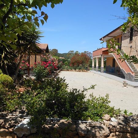 Bed And Breakfast Le Camelie Alghero Exteriér fotografie